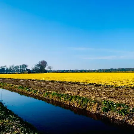 Modern Guest House. Lejlighed *