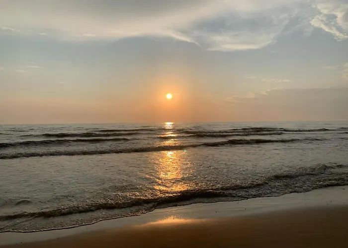 Modern Guest House. *