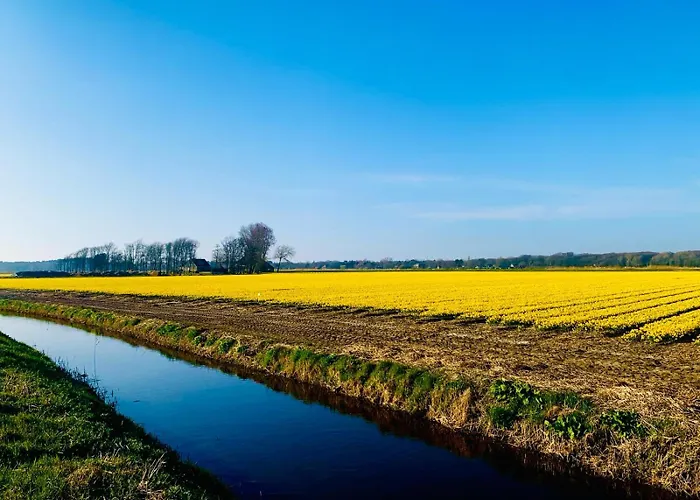 Modern Guest House. Apartamento *